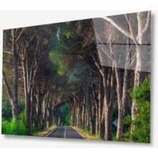 Manzara Doğa Cam Tablo 4mm Dayanıklı Temperli Cam