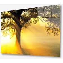 Doğa Cam Tablo 4mm Dayanıklı Temperli Cam