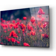 Doğa Cam Tablo 4mm Dayanıklı Temperli Cam