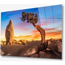 Doğa Cam Tablo 4mm Dayanıklı Temperli Cam