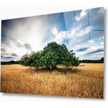 Doğa Cam Tablo 4mm Dayanıklı Temperli Cam