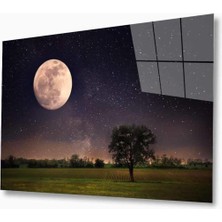 Doğa Cam Tablo 4mm Dayanıklı Temperli Cam