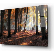 Doğa Temperli Cam Tablo