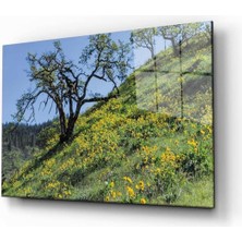 Doğa Temperli Cam Tablo