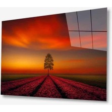Doğa Cam Tablo 4mm Dayanıklı Temperli Cam