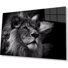 Aslan Cam Tablo 4mm Dayanıklı Temperli Cam
