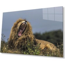 Aslan Cam Tablo 4mm Dayanıklı Temperli Cam