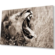 Aslan Cam Tablo 4mm Dayanıklı Temperli Cam