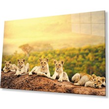 Aslan Cam Tablo 4mm Dayanıklı Temperli Cam