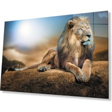 Aslan Cam Tablo 4mm Dayanıklı Temperli Cam