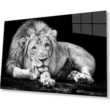 Aslan Cam Tablo 4mm Dayanıklı Temperli Cam