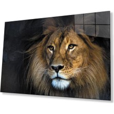 Aslan Cam Tablo 4mm Dayanıklı Temperli Cam
