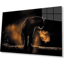 Aslan Cam Tablo 4mm Dayanıklı Temperli Cam
