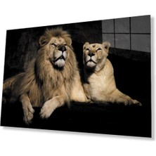 Aslan Cam Tablo 4mm Dayanıklı Temperli Cam