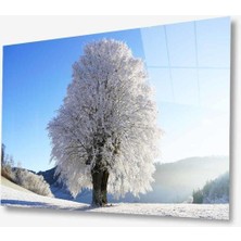 Doğa Cam Tablo 4mm Dayanıklı Temperli Cam