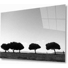 Doğa Cam Tablo 4mm Dayanıklı Temperli Cam