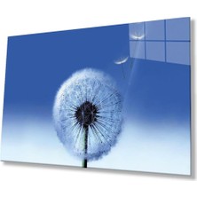 Manzara Cam Tablo 4mm Dayanıklı Temperli Cam, Glass Wall Decor