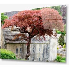 Doğa Cam Tablo 4mm Dayanıklı Temperli Cam