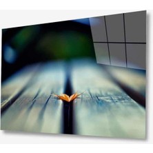 Doğa Cam Tablo 4mm Dayanıklı Temperli Cam