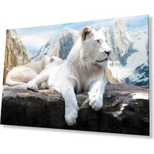 Aslan Cam Tablo 4mm Dayanıklı Temperli Cam