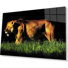 Aslan Cam Tablo 4mm Dayanıklı Temperli Cam