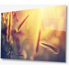 Doğa Cam Tablo 4mm Dayanıklı Temperli Cam