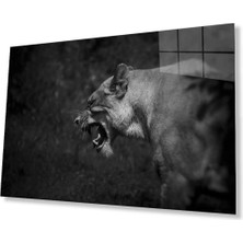Aslan Cam Tablo 4mm Dayanıklı Temperli Cam