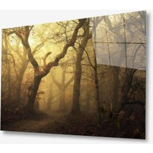 Doğa Cam Tablo 4mm Dayanıklı Temperli Cam