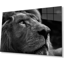 Aslan Cam Tablo 4mm Dayanıklı Temperli Cam