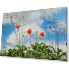 Gelincik Çiçeği Cam Tablo 4mm Dayanıklı Temperli Cam Poppy Flower Glass Wall Art