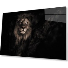 Aslan Cam Tablo 4mm Dayanıklı Temperli Cam