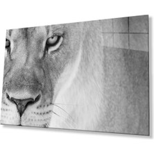 Aslan Cam Tablo 4mm Dayanıklı Temperli Cam