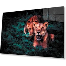 Aslan Cam Tablo 4mm Dayanıklı Temperli Cam