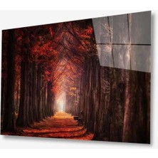 Doğa Cam Tablo 4mm Dayanıklı Temperli Cam