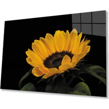Ay Çiçeği Günebakan 4mm Dayanıklı Cam Tablo Temperli Cam , Sunflower Glass Wall Art