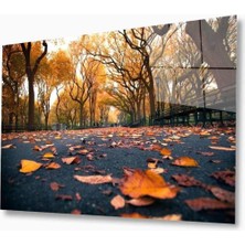 Doğa Cam Tablo 4mm Dayanıklı Temperli Cam