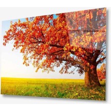 Doğa Cam Tablo 4mm Dayanıklı Temperli Cam