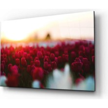 Doğa Cam Tablo 4mm Dayanıklı Temperli Cam