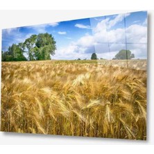 Doğa Cam Tablo 4mm Dayanıklı Temperli Cam