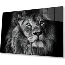 Aslan Cam Tablo 4mm Dayanıklı Temperli Cam