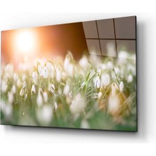 Doğa Cam Tablo 4mm Dayanıklı Temperli Cam