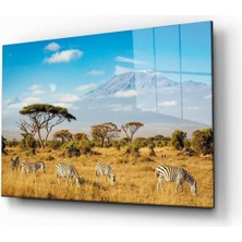 Doğa Temperli Cam Tablo