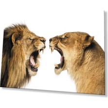 Aslan Cam Tablo 4mm Dayanıklı Temperli Cam