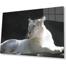 Aslan Cam Tablo 4mm Dayanıklı Temperli Cam