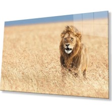 Aslan Cam Tablo 4mm Dayanıklı Temperli Cam