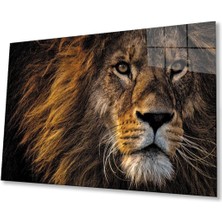 Aslan Cam Tablo