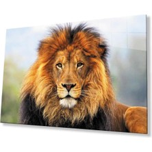 Aslan Cam Tablo 4mm Dayanıklı Temperli Cam