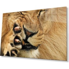 Aslan Cam Tablo 4mm Dayanıklı Temperli Cam