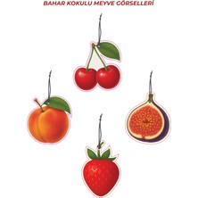 4 Adet Efsunlu Meyveler Bahar Kokulu Meyve Tasarımları Oto Kokusu ve Torpido Aksesuarı