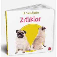Ilk Sözcüklerim - Zıtlıklar